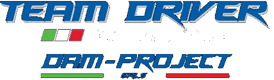 Team Driver DAM-Project